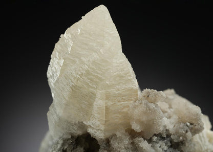 CC21171 specimen image