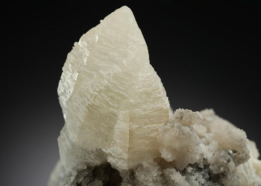 CC21171 specimen image