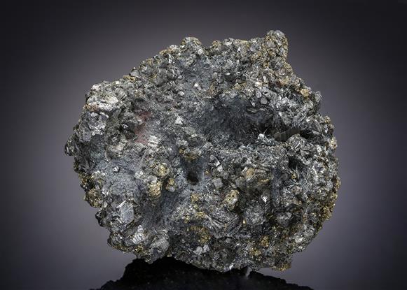 CC21174 specimen image