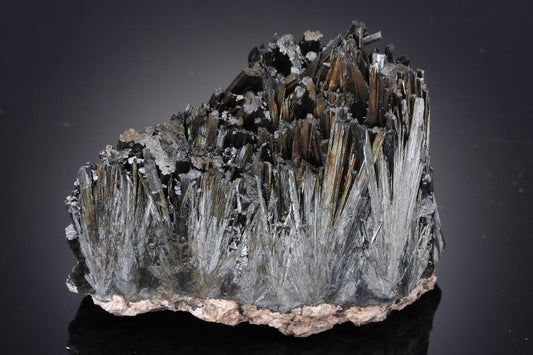 CC21177 specimen image