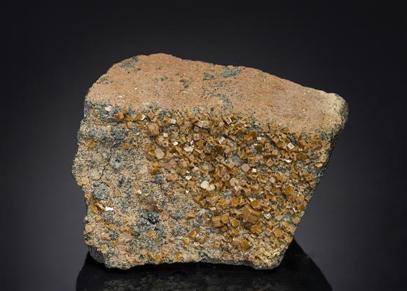 CC21179 specimen image