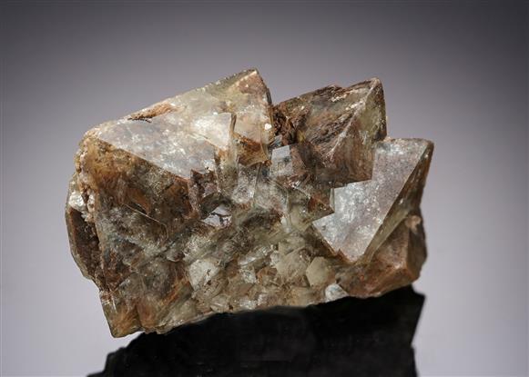 CC21187 specimen image