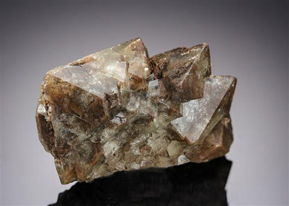 CC21187 specimen image