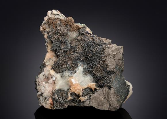 CC21190 specimen image