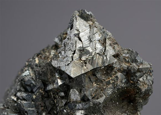CC21196 specimen image