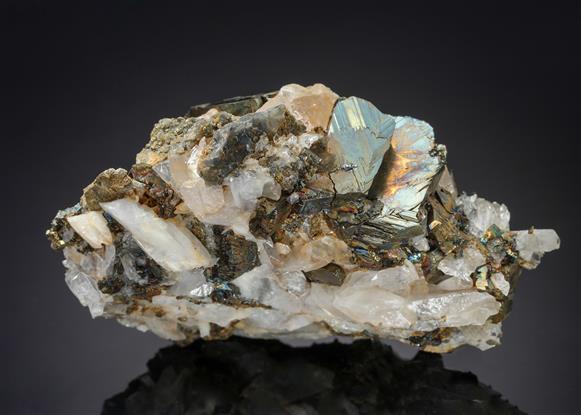 CC21207 specimen image