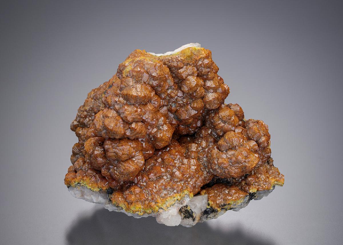 CC21222 specimen image