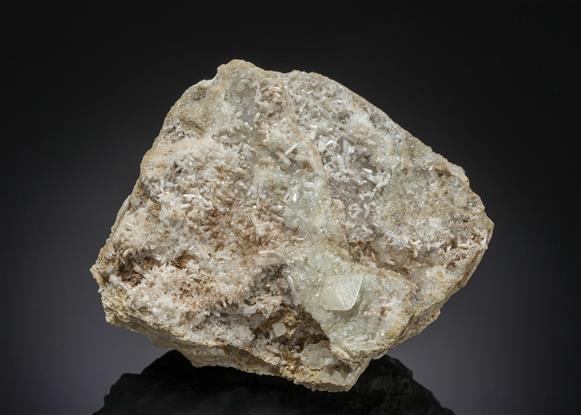 CC21227 specimen image