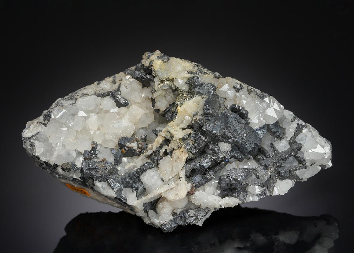 CC21228 specimen image