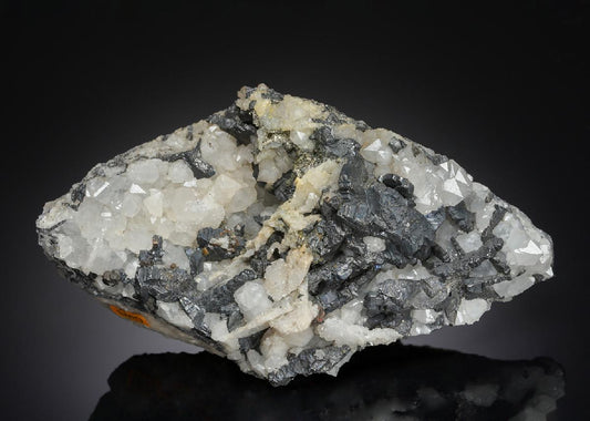 CC21228 specimen image