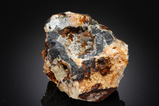 CC21233 specimen image