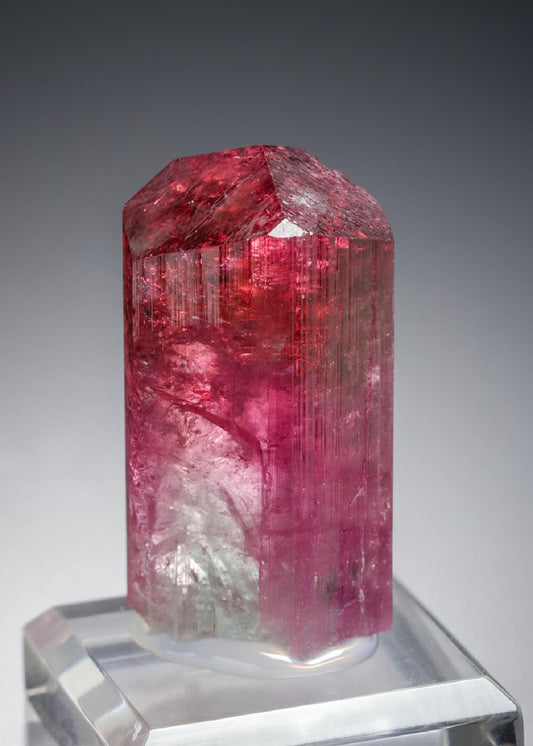 CC21238 specimen image