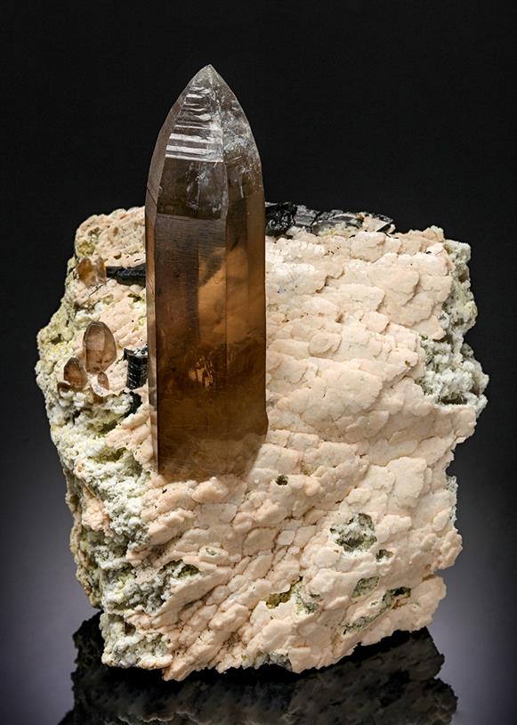 CC21239 specimen image