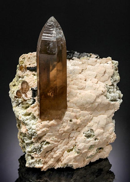 CC21239 specimen image