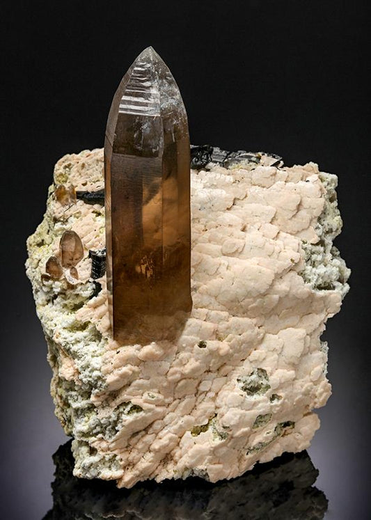 CC21239 specimen image