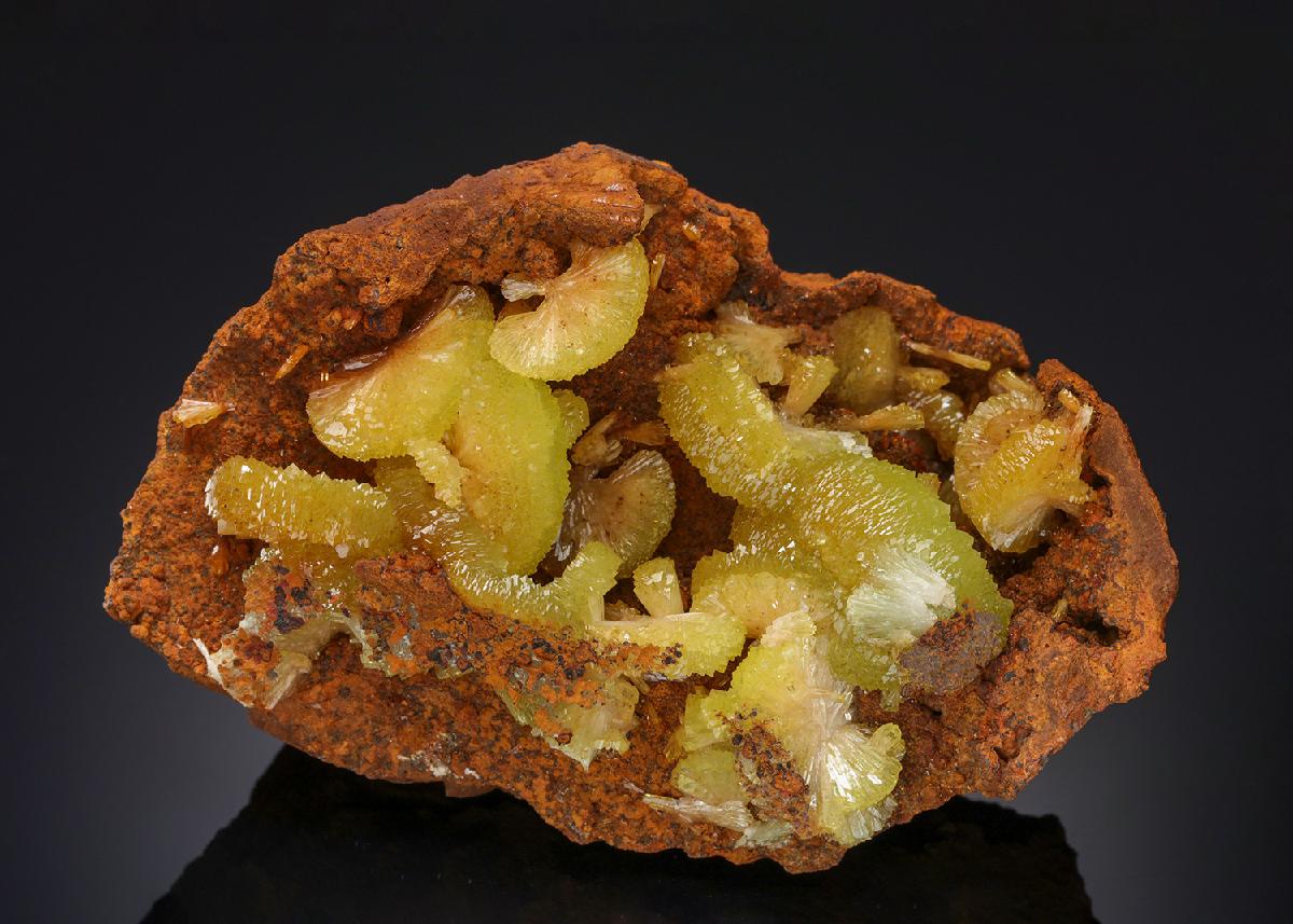 CC21240 specimen image