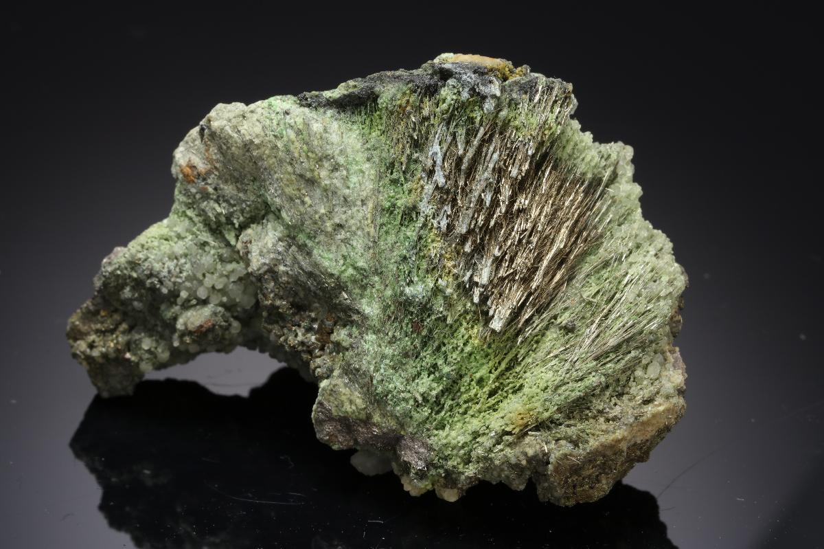 CC21248 specimen image