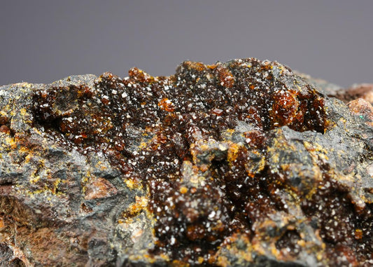 CC21249 specimen image