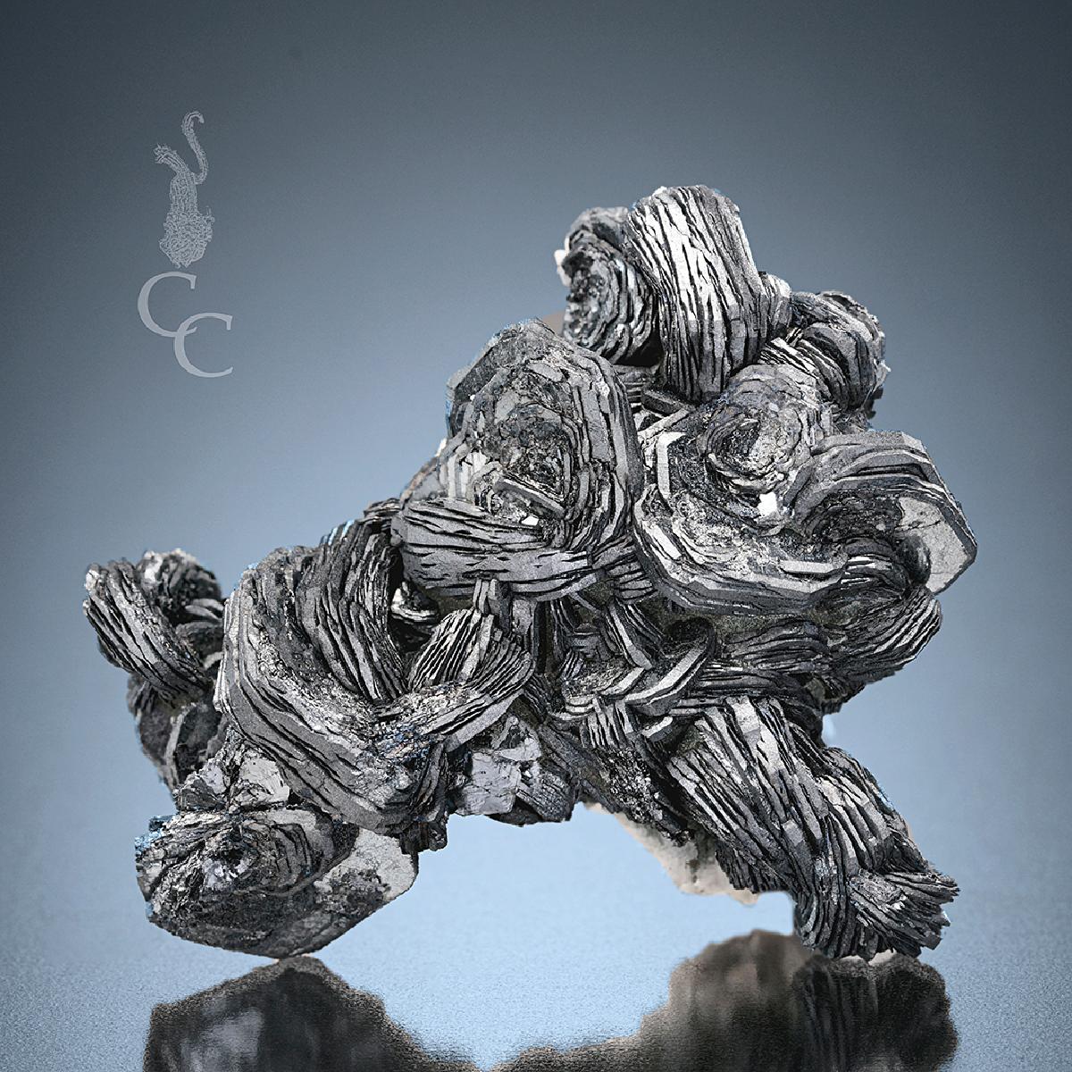 CC2125 specimen image