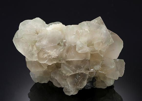 CC21257 specimen image