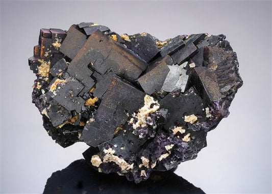 CC21258 specimen image