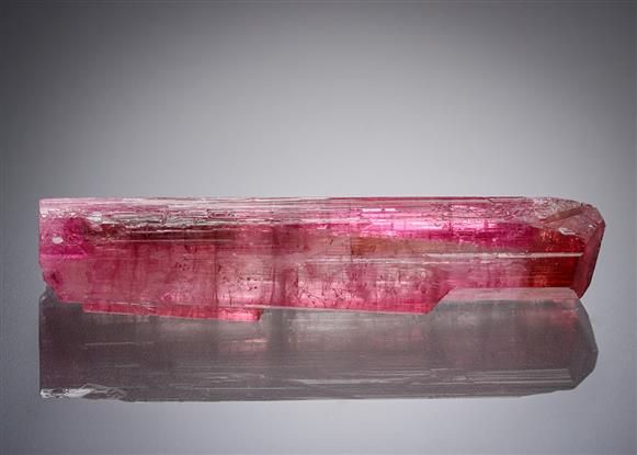 CC21290 specimen image