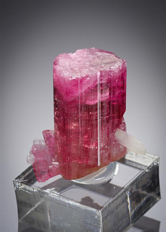 CC21301 specimen image