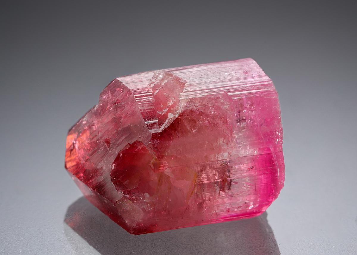 CC21304 specimen image