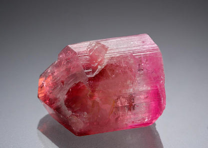 CC21304 specimen image