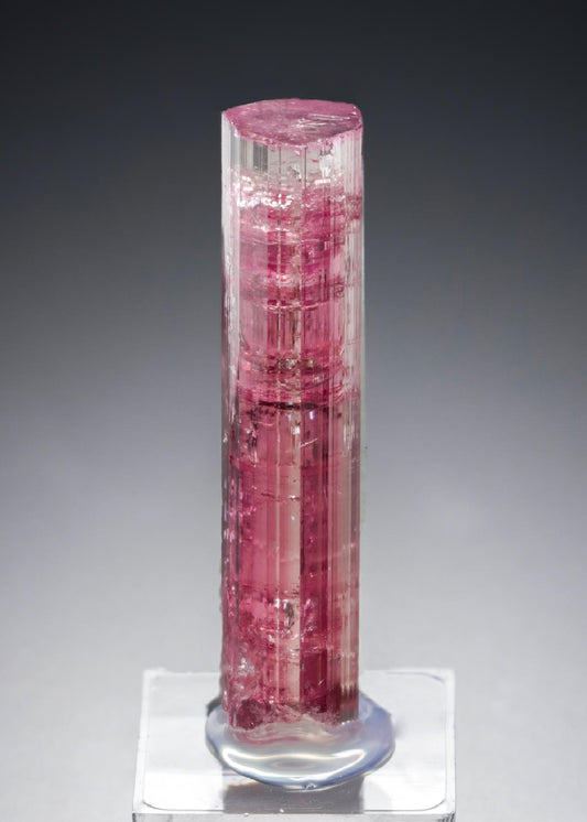 CC21330 specimen image