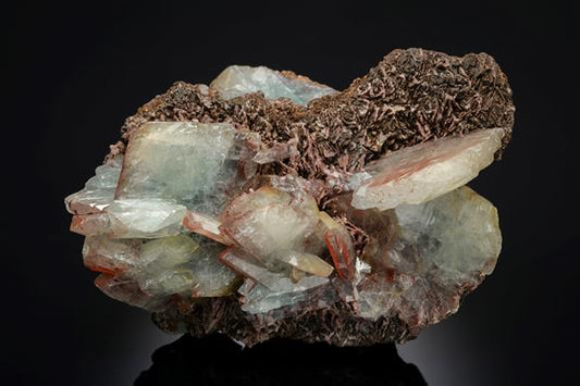 CC21345 specimen image
