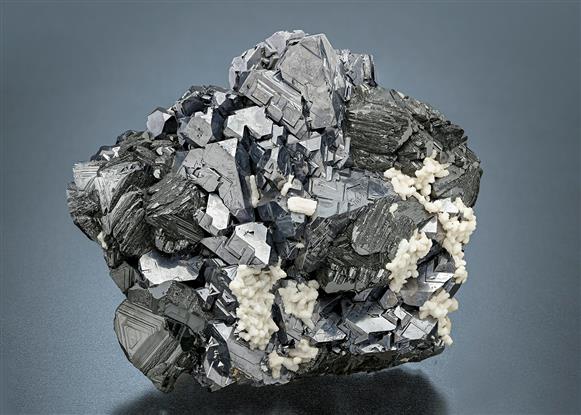 CC21439 specimen image
