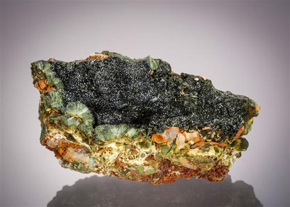 CC21507 specimen image