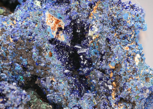 CC21514 specimen image