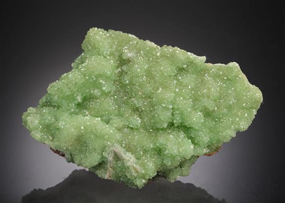 CC21517 specimen image