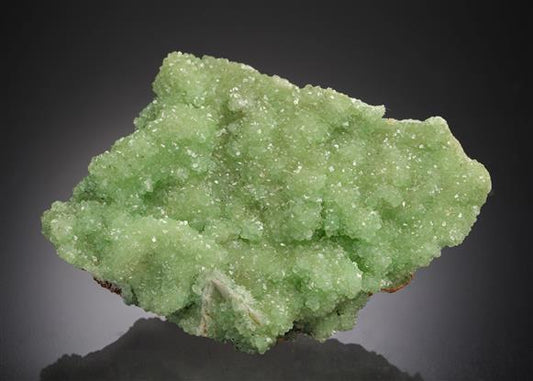 CC21517 specimen image