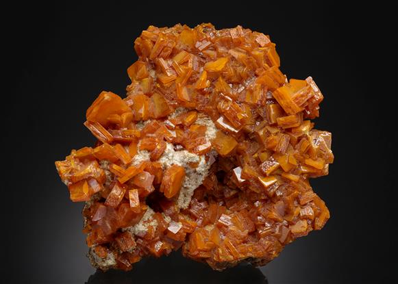 CC21522 specimen image