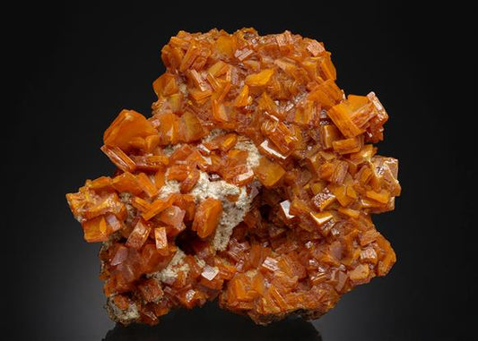 CC21522 specimen image