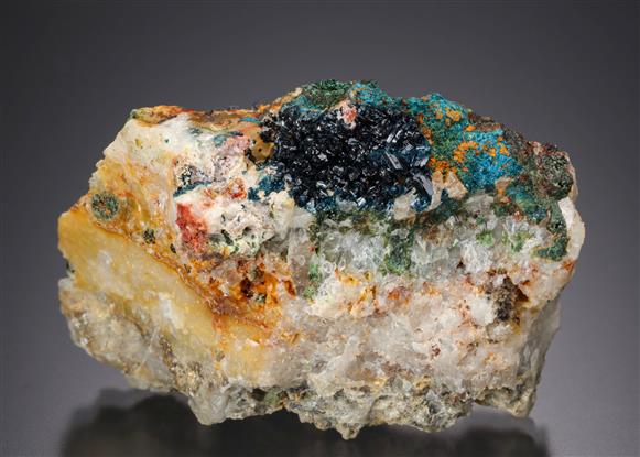 CC21579 specimen image