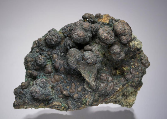 CC21581 specimen image