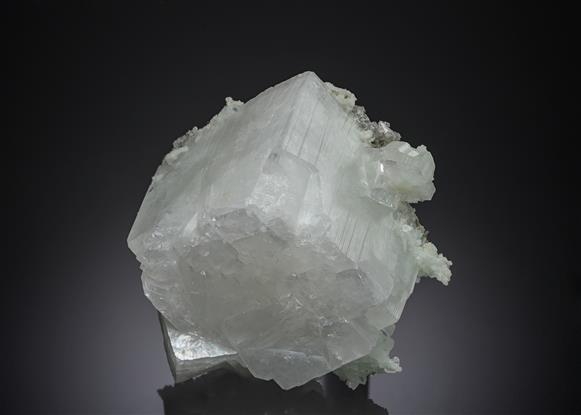 CC21631 specimen image