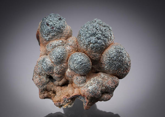 CC21633 specimen image