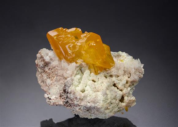 CC21645 specimen image