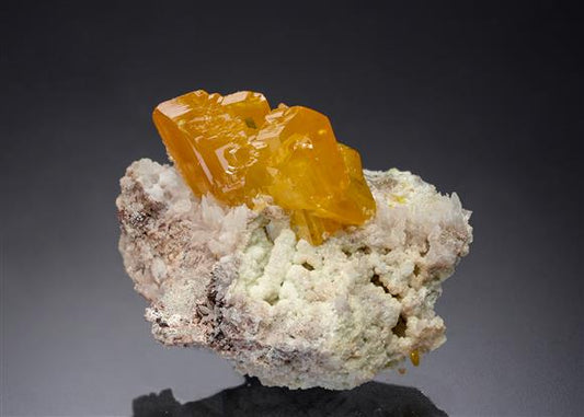 CC21645 specimen image