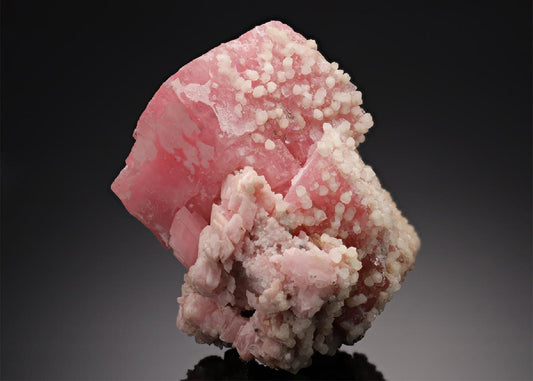CC21649 specimen image