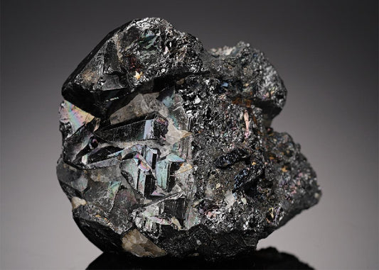 CC21650 specimen image