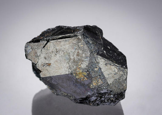 CC21651 specimen image