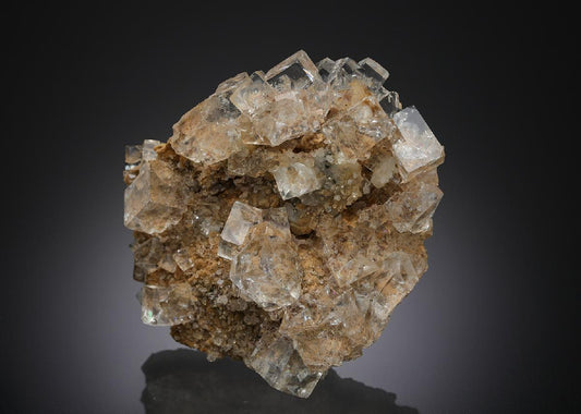 CC21665 specimen image