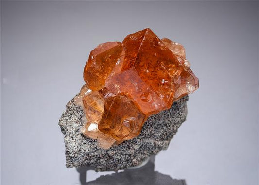 CC21673 specimen image