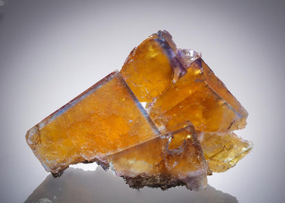 CC21689 specimen image